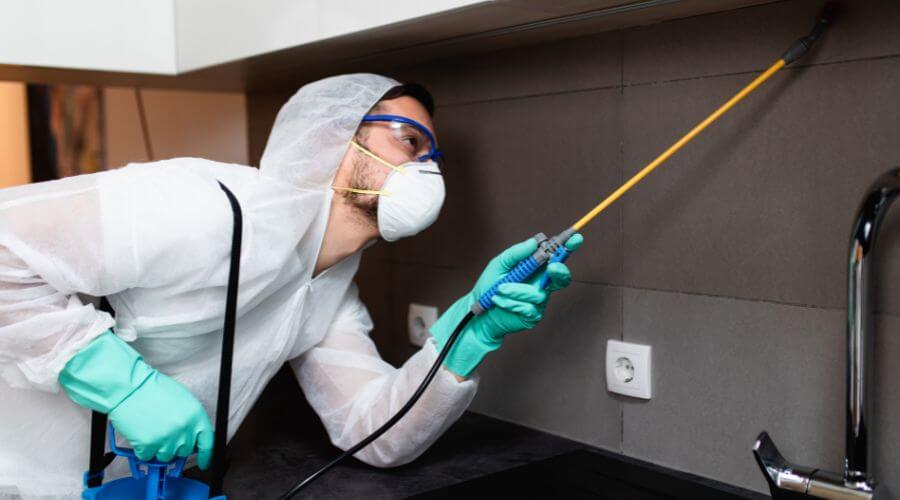 Roach exterminator treating a San Antonio kitchen for cockroaches